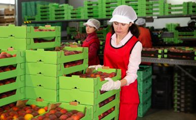 Agriculture Products